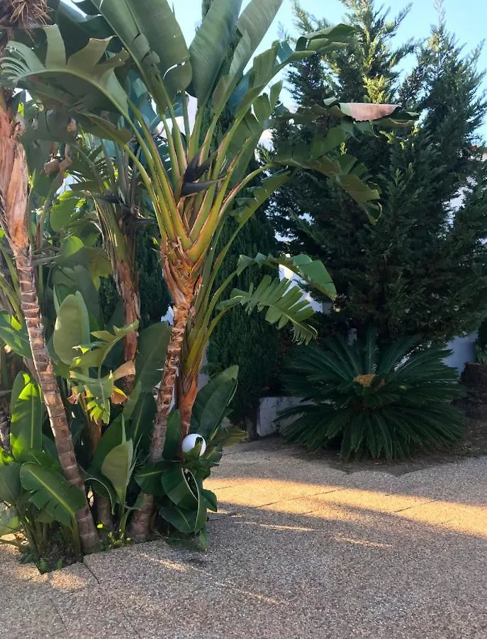 Solar De Sao Joao Aparthotel Albufeira
